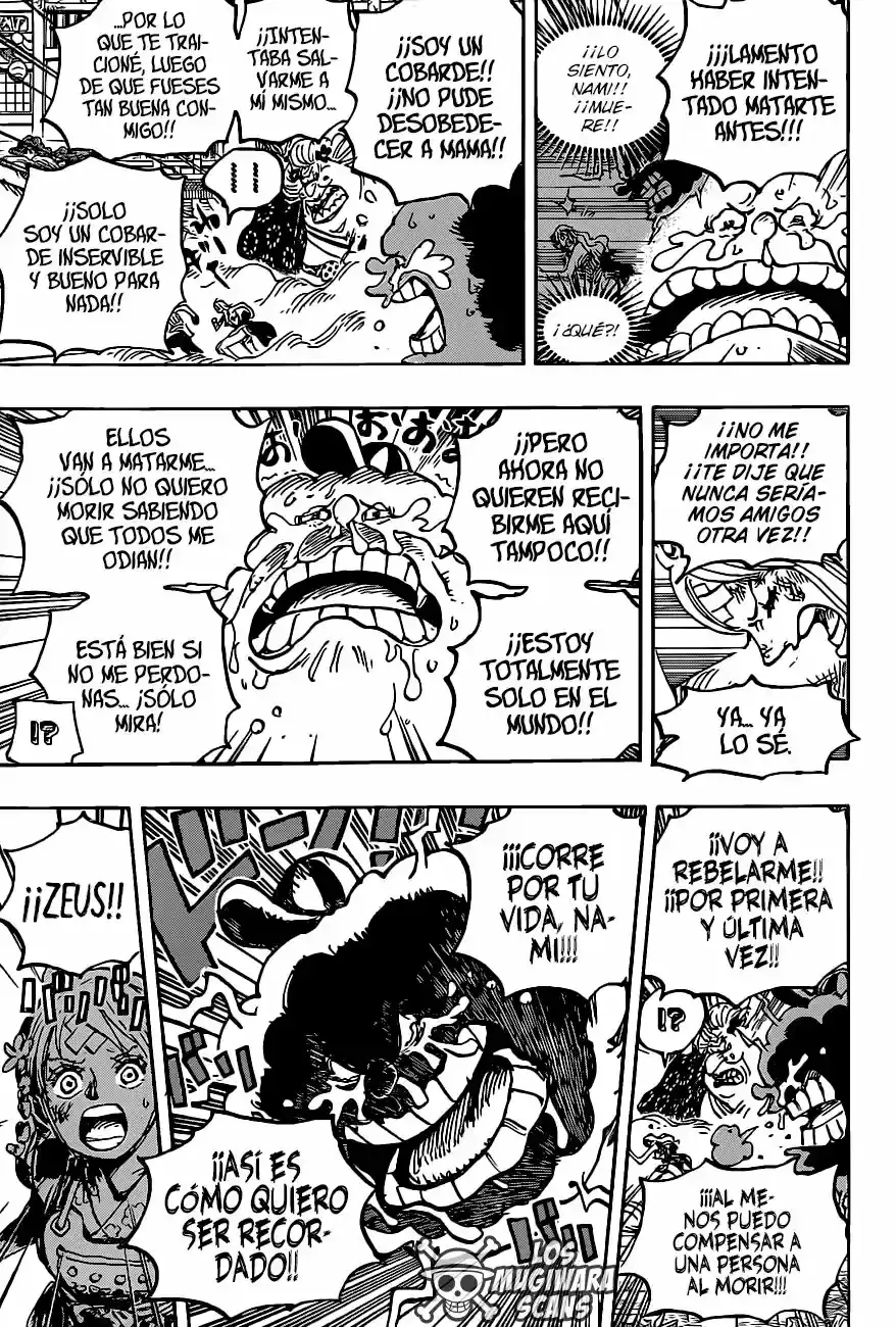 One Piece capítulo 1013.5 página 11