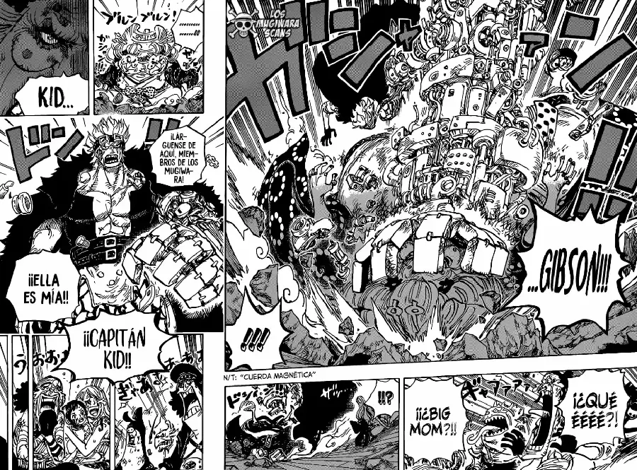 One Piece capítulo 1013.5 página 14