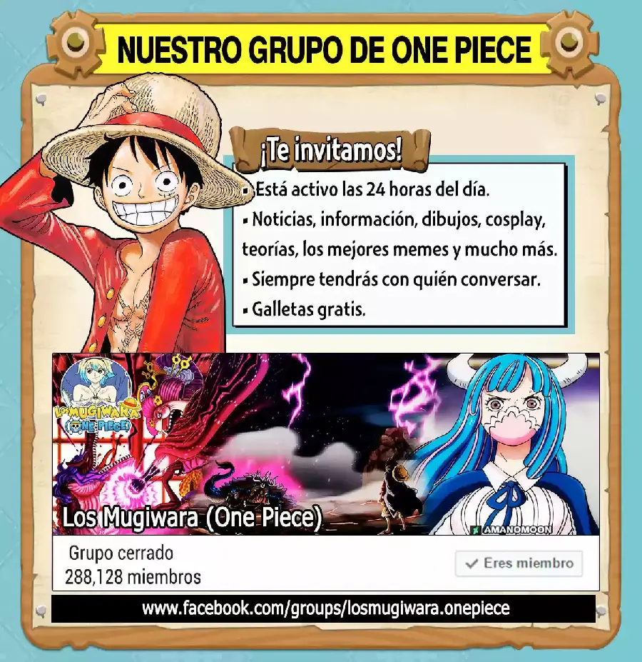 One Piece capítulo 1013.5 página 17