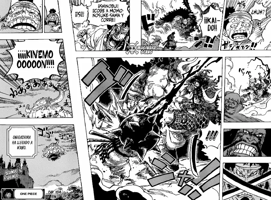 One Piece capítulo 1014.5 página 15