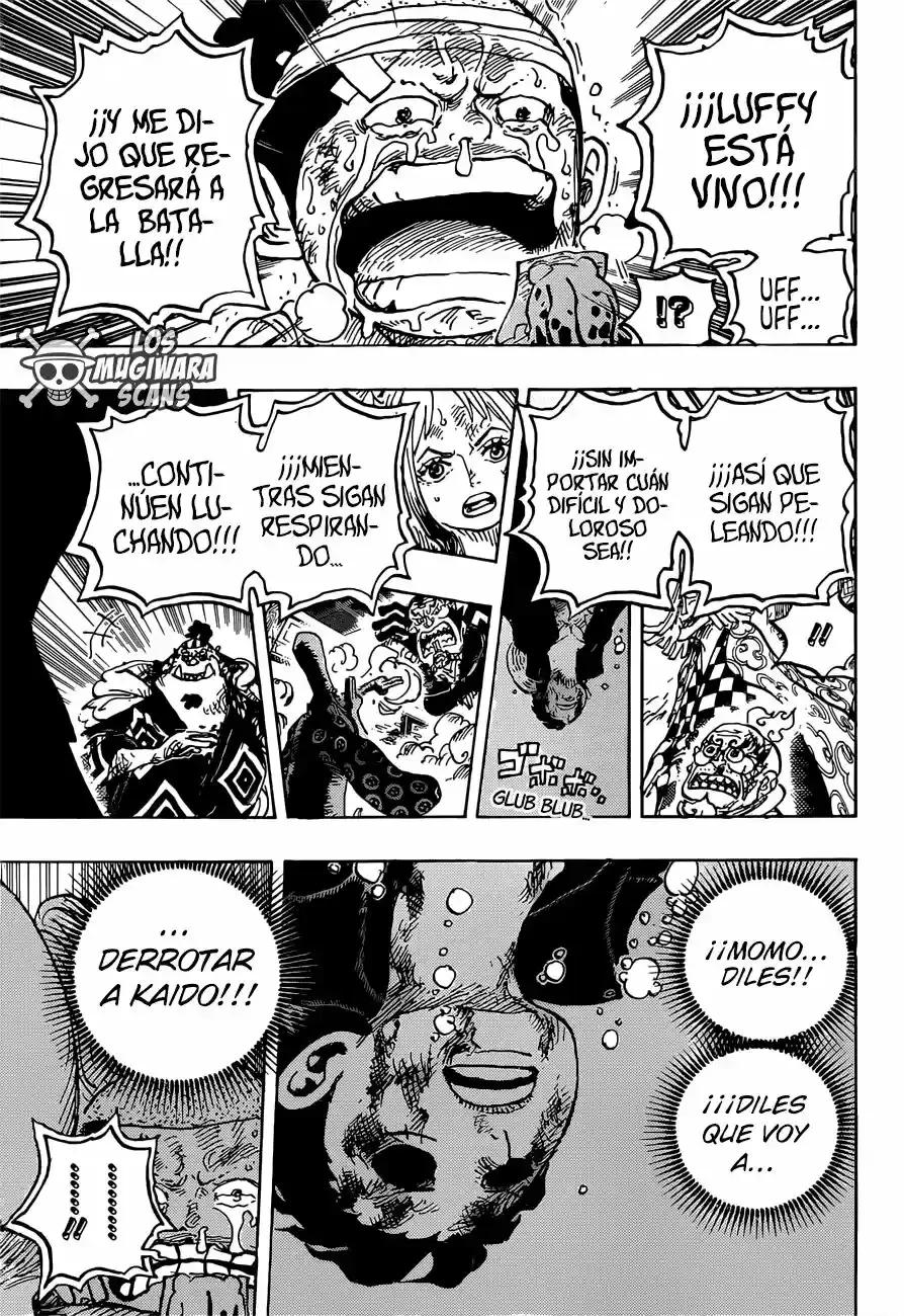 One Piece capítulo 1015.5 página 13