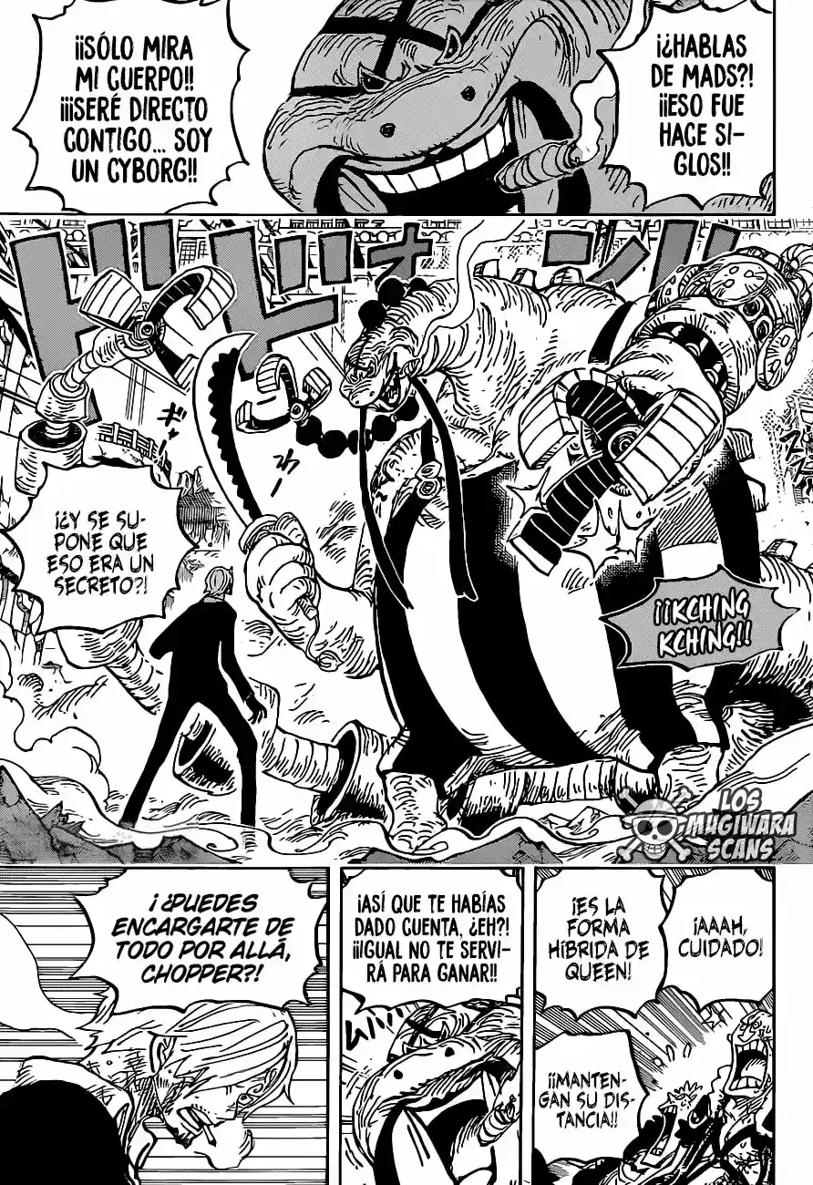 One Piece capítulo 1017.5 página 12