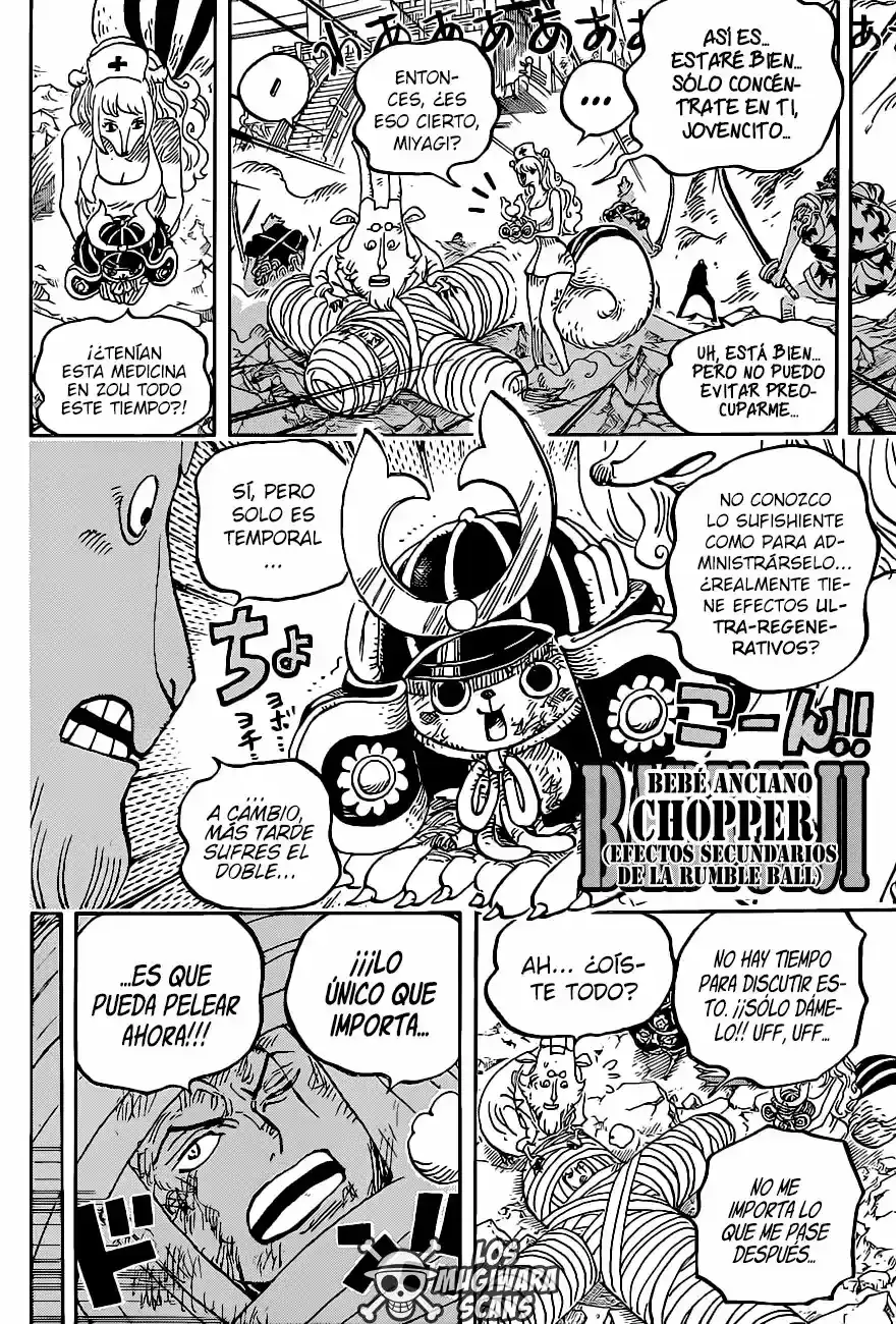 One Piece capítulo 1017.5 página 13