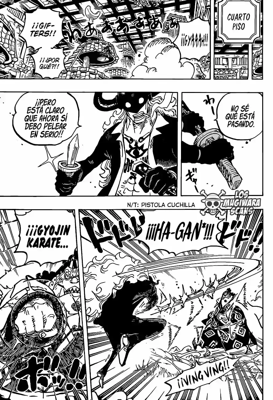 One Piece capítulo 1017.5 página 14