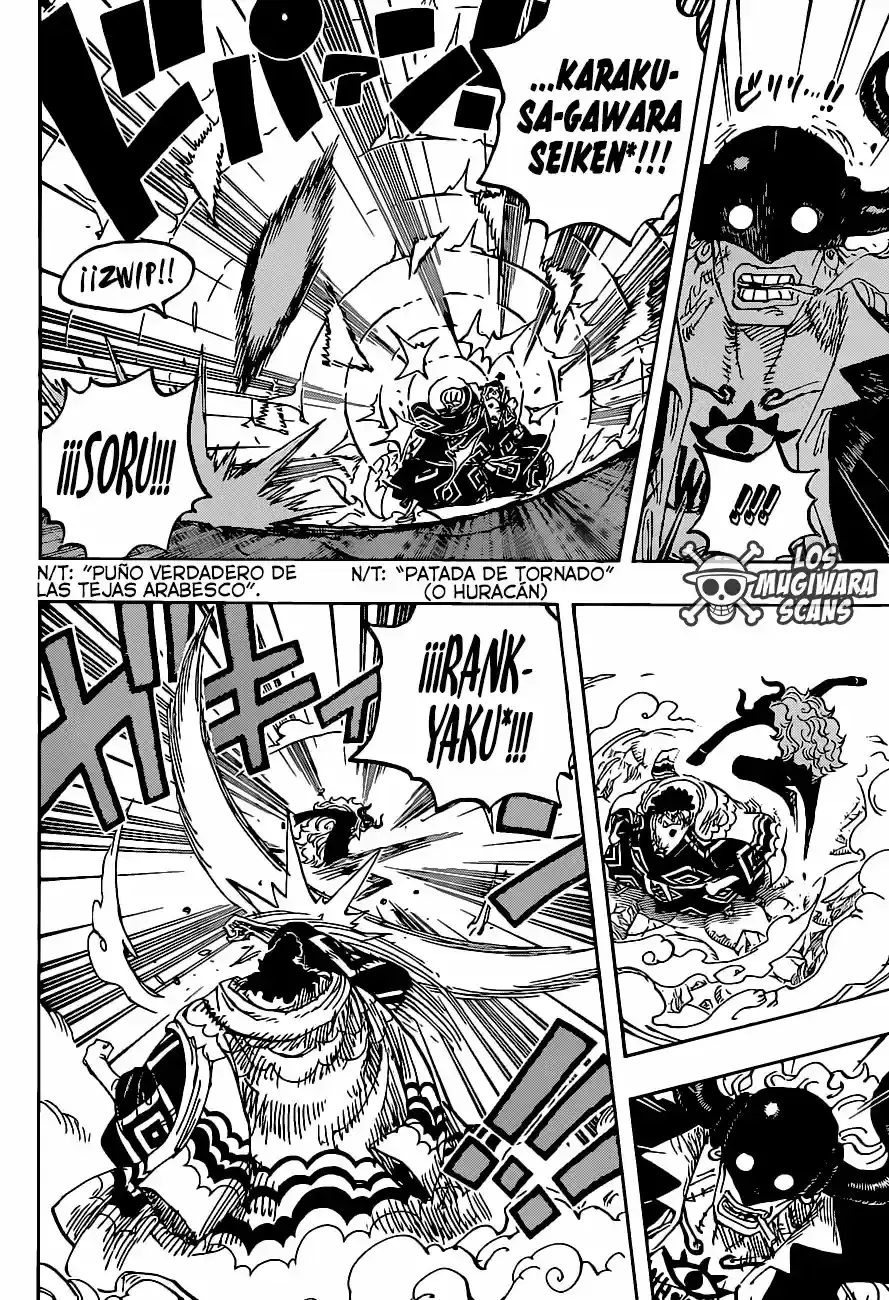 One Piece capítulo 1017.5 página 15