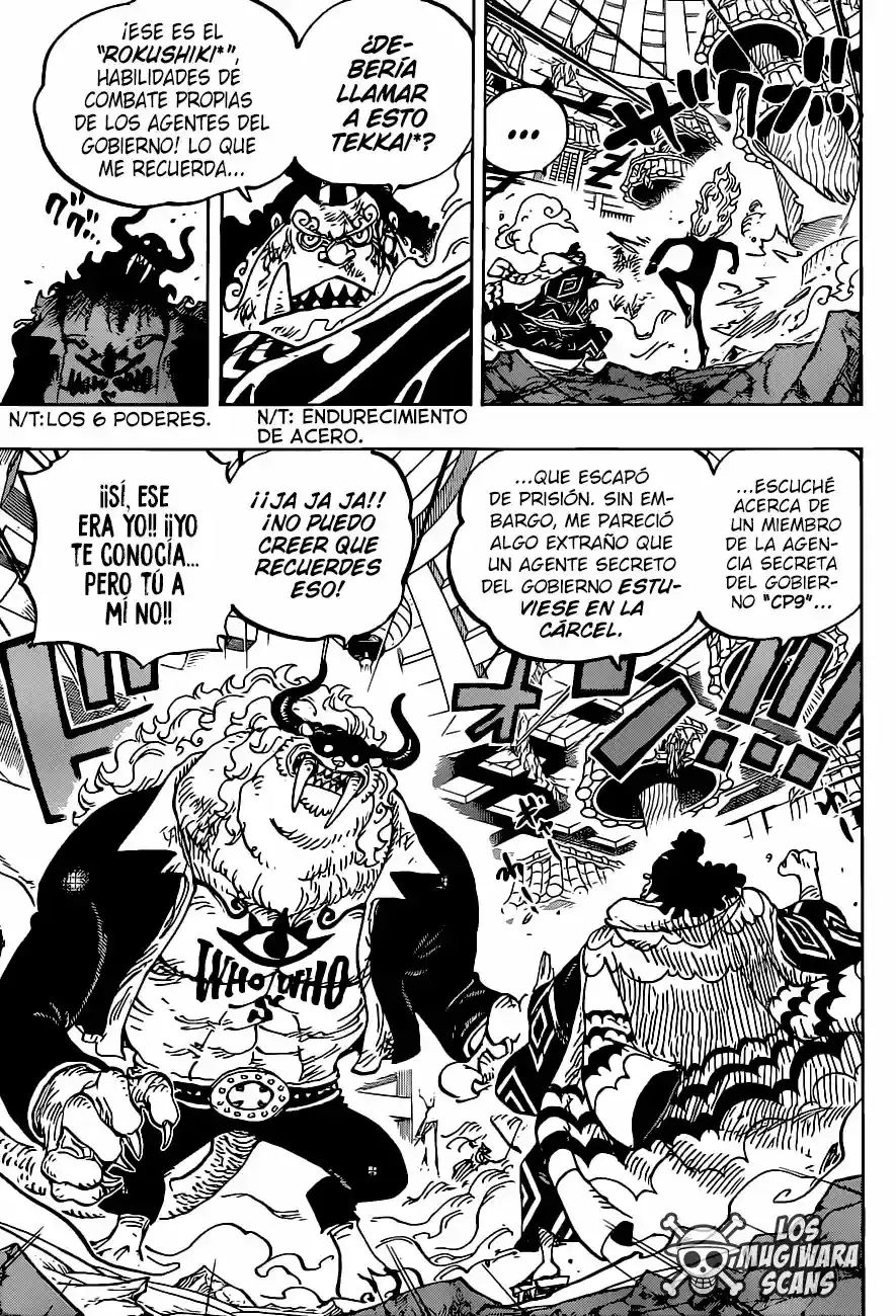 One Piece capítulo 1017.5 página 16