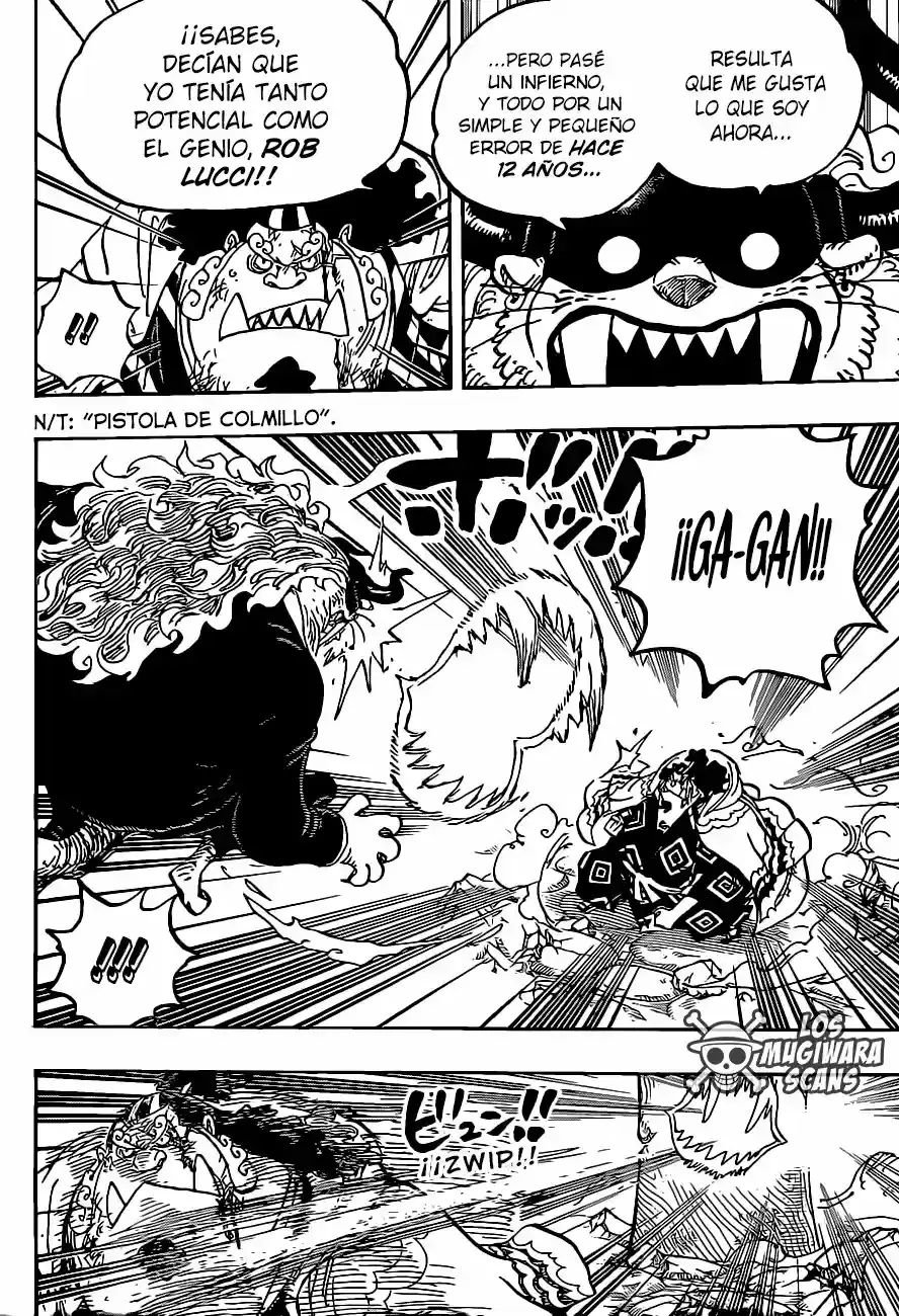 One Piece capítulo 1017.5 página 17