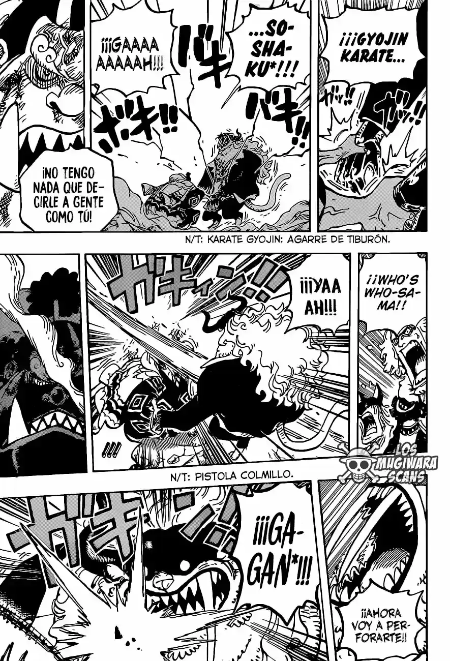 One Piece capítulo 1018.5 página 16