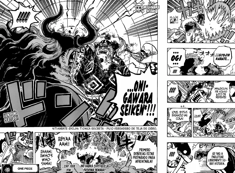One Piece capítulo 1018.5 página 17