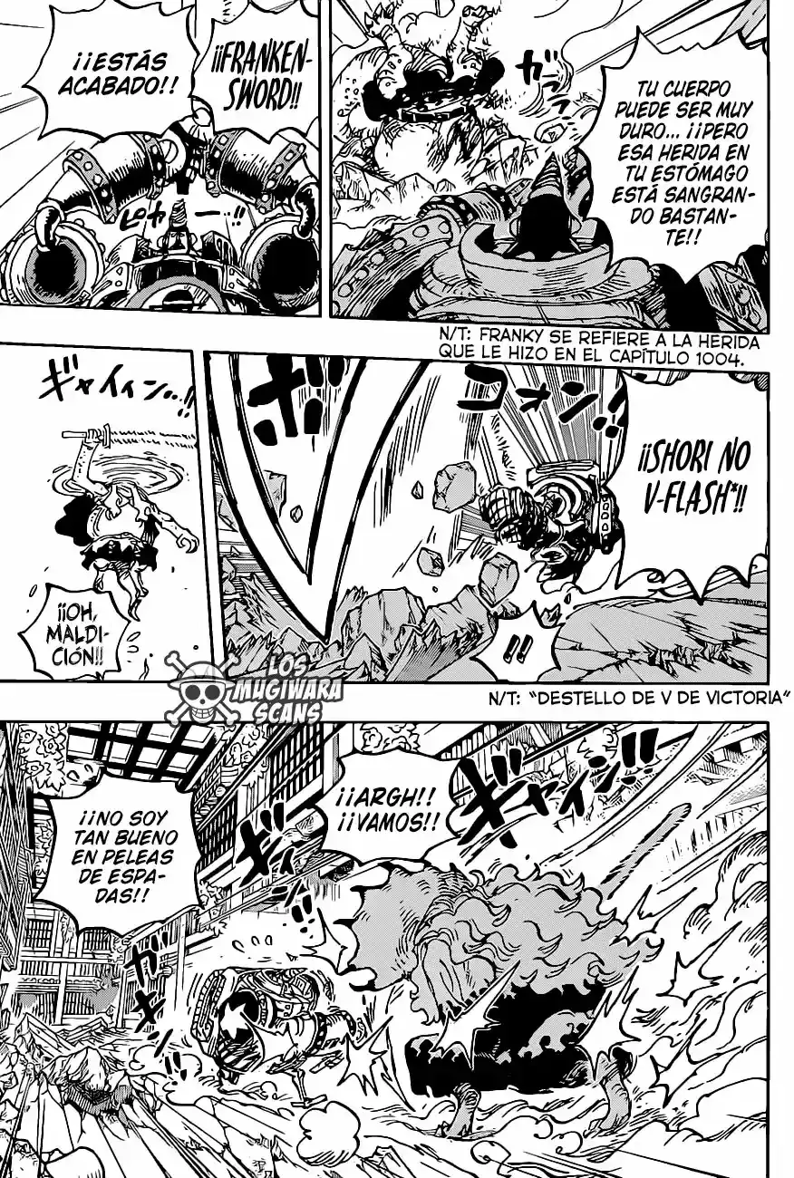 One Piece capítulo 1019.5 página 14