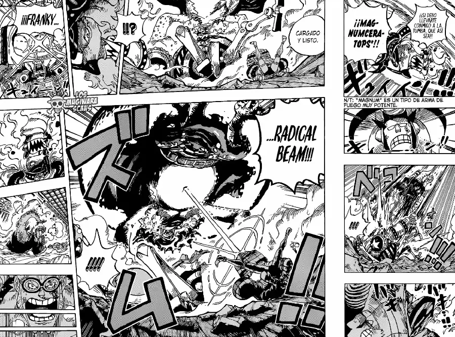 One Piece capítulo 1019.5 página 17