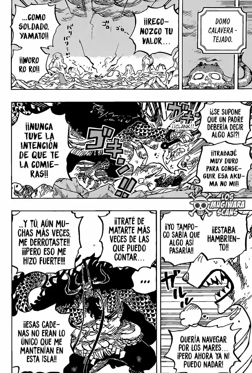 One Piece capítulo 1019.5 página 18
