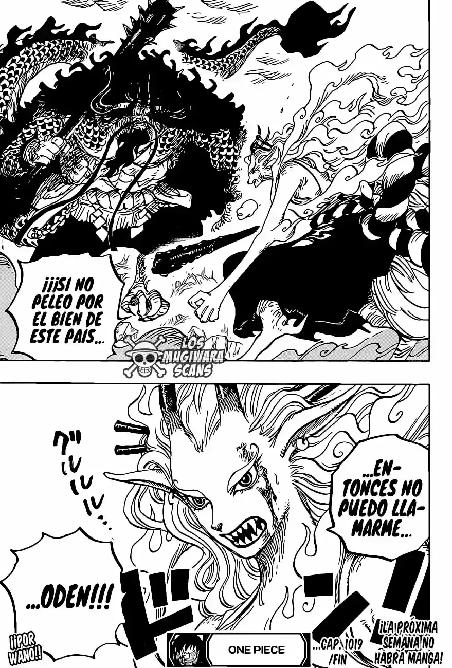 One Piece capítulo 1019.5 página 19