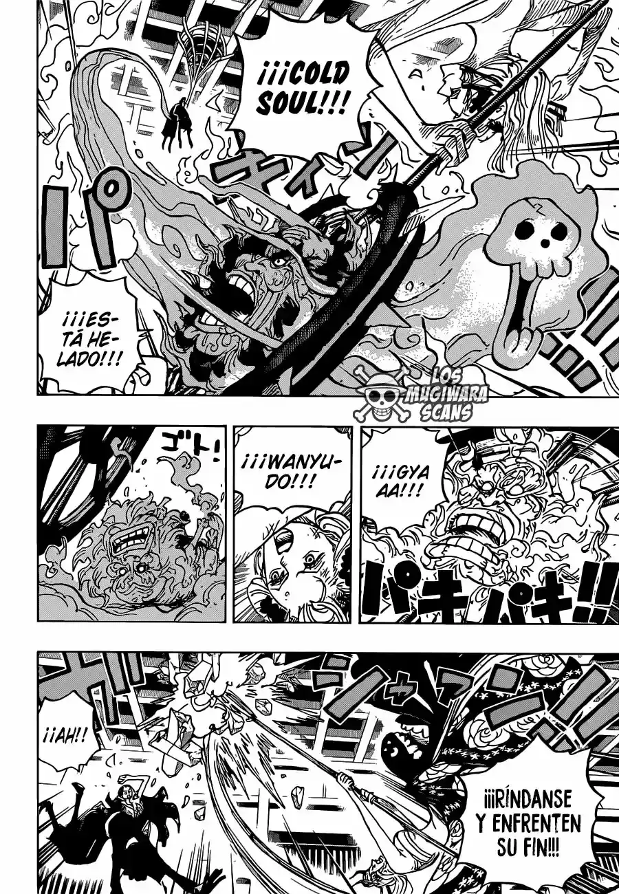 One Piece capítulo 1020.5 página 13