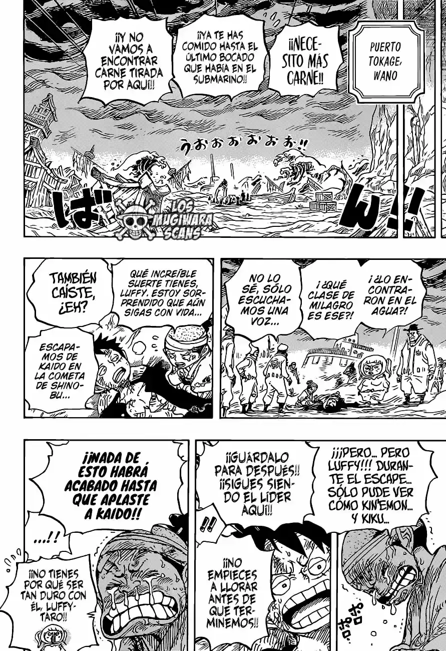 One Piece capítulo 1020.5 página 17