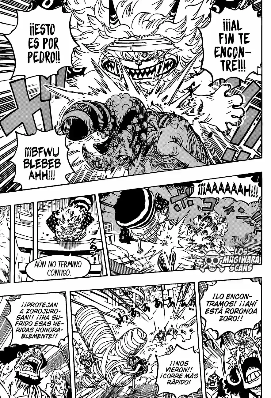 One Piece capítulo 1022.5 página 13