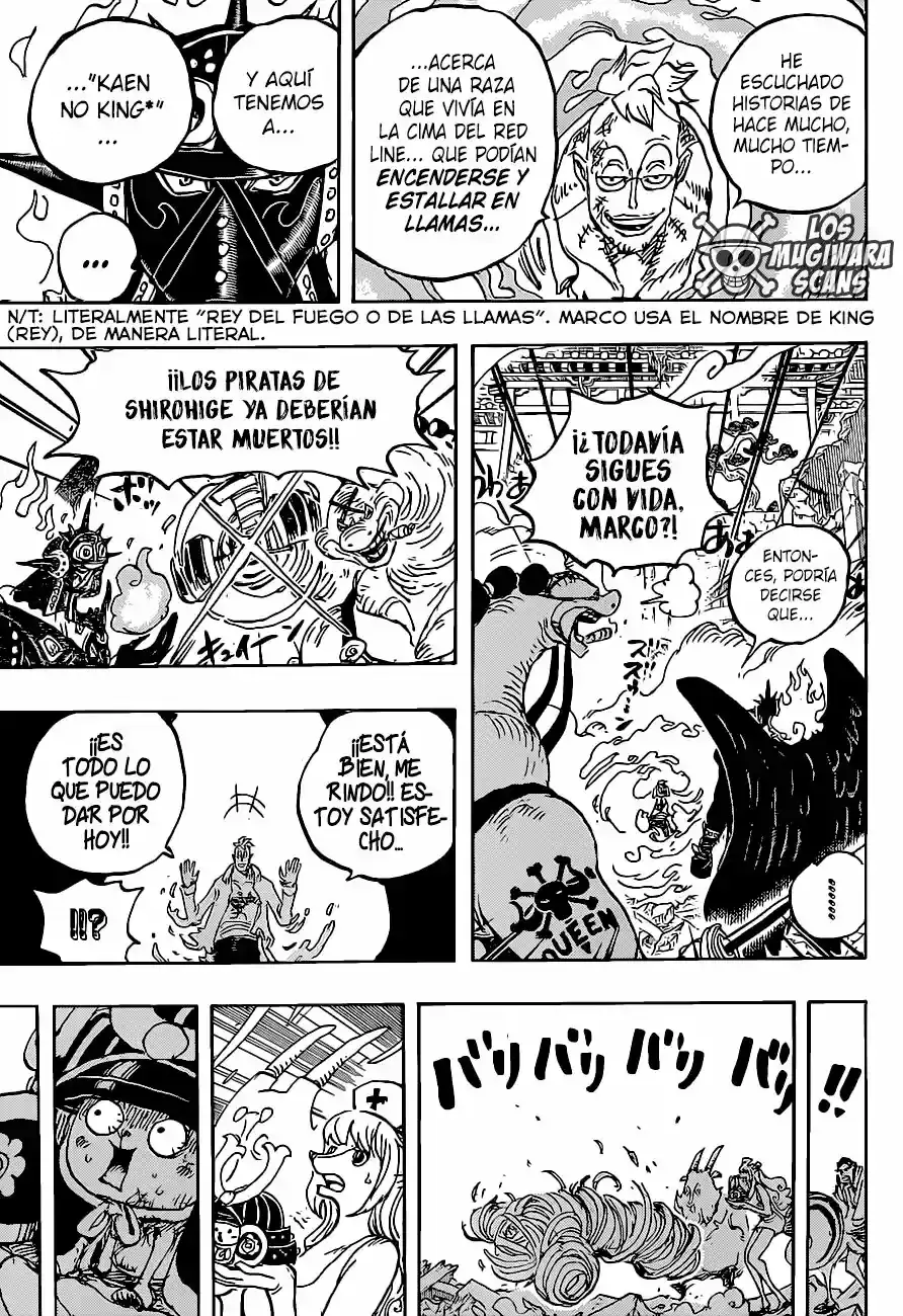 One Piece capítulo 1022.5 página 15