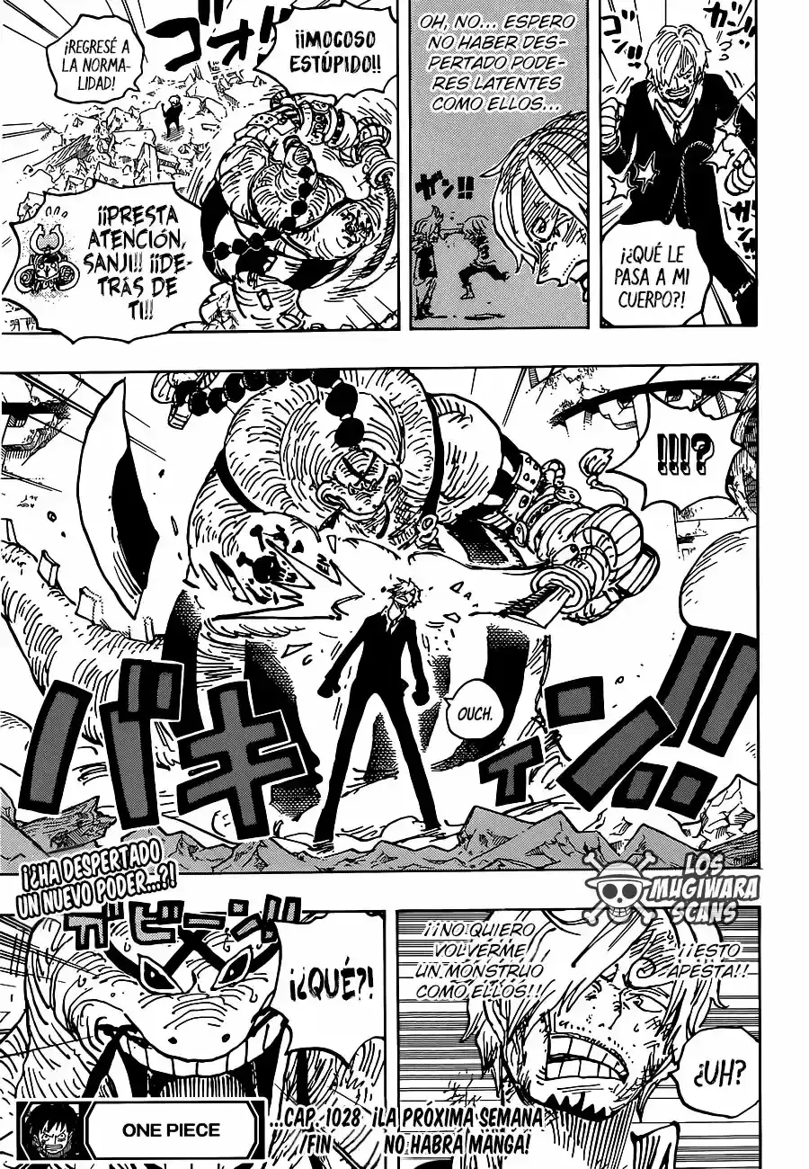 One Piece capítulo 1028.2 página 18