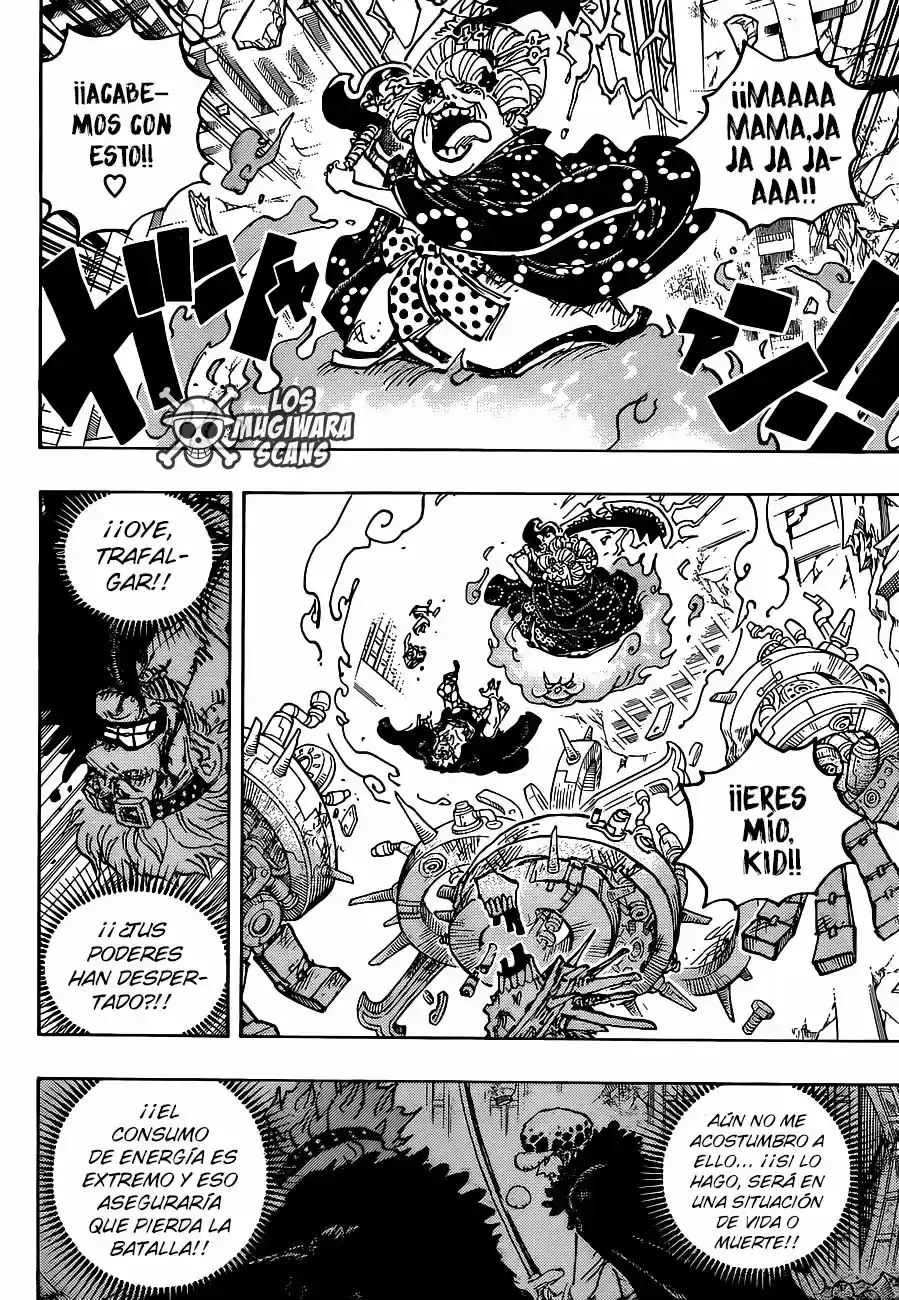 One Piece capítulo 1030.5 página 14