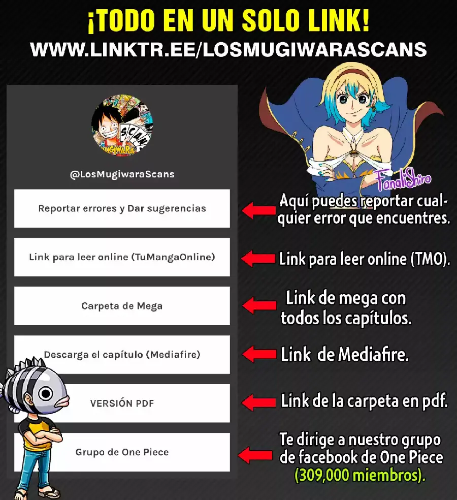 One Piece capítulo 1030.5 página 20