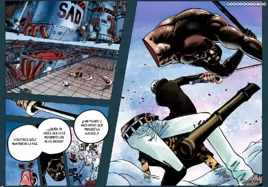 One Piece capítulo 690 página 17