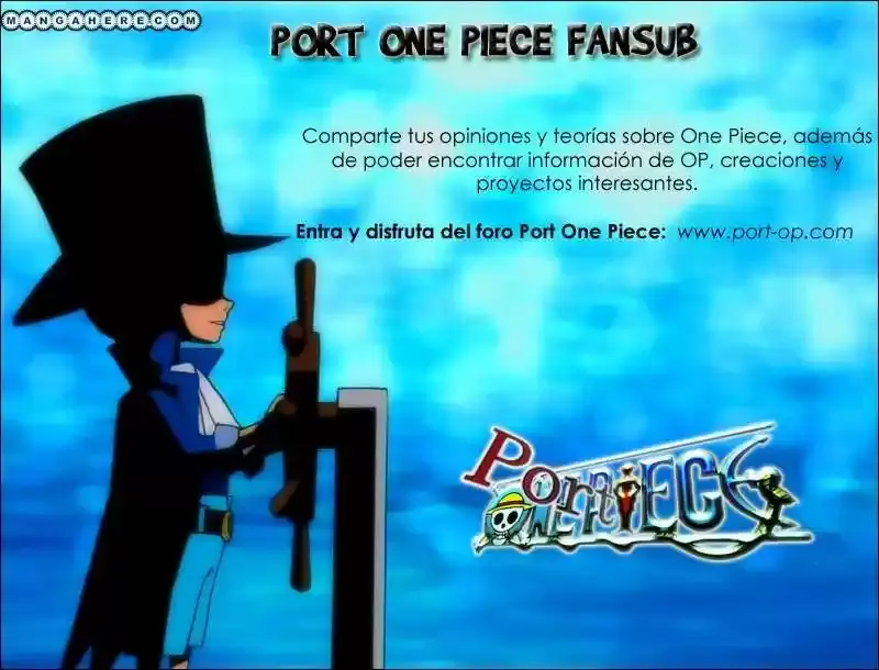 One Piece capítulo 690 página 19