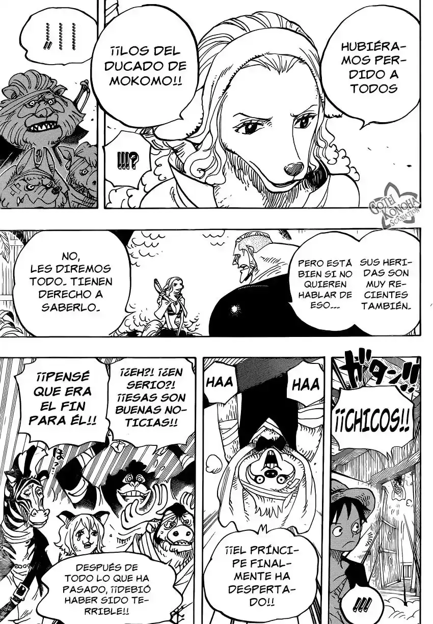 One Piece capítulo 807 página 13