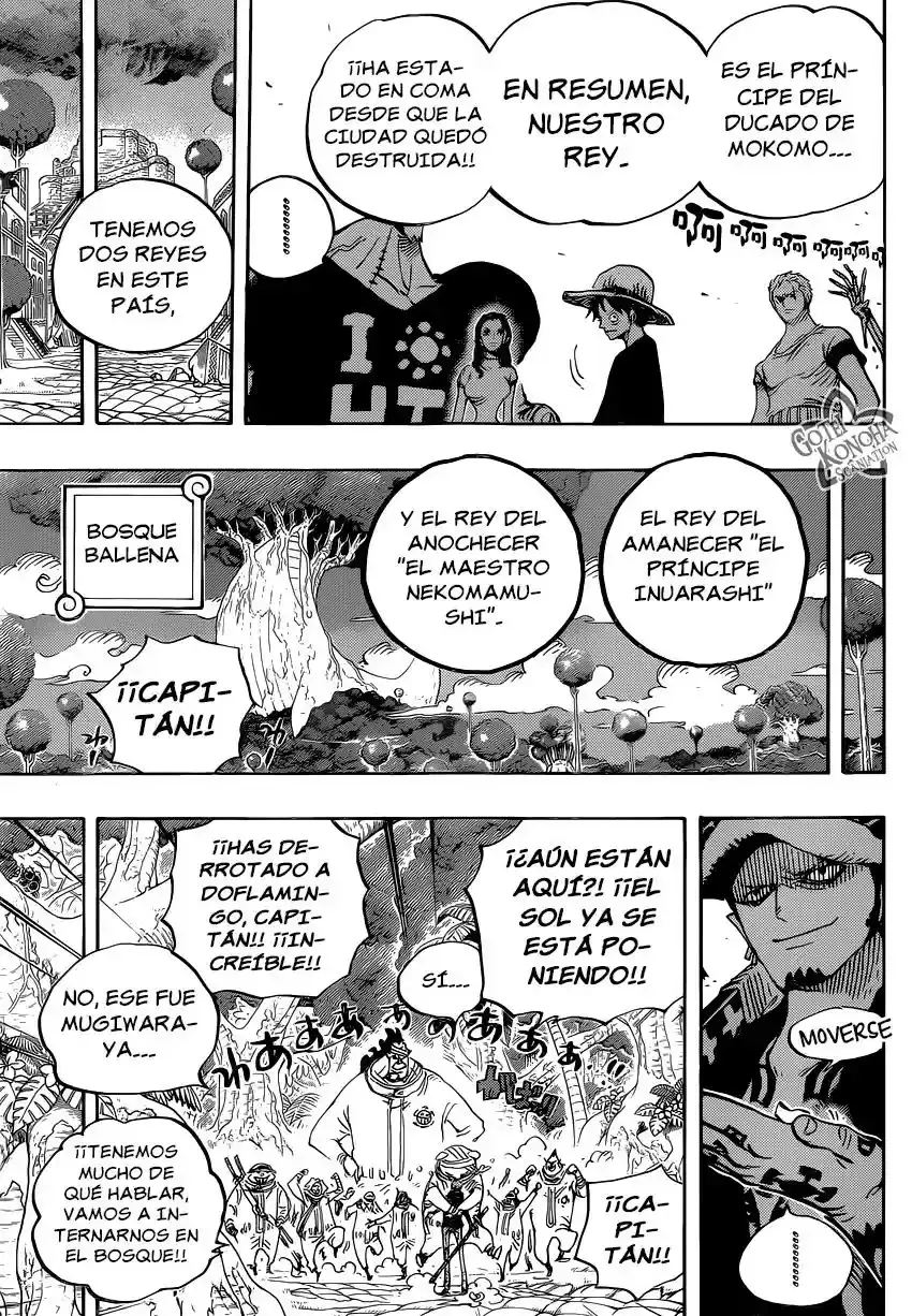 One Piece capítulo 807 página 15