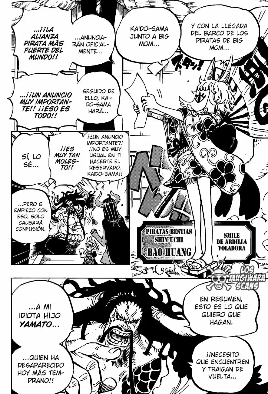 One Piece capítulo 979.5 página 14