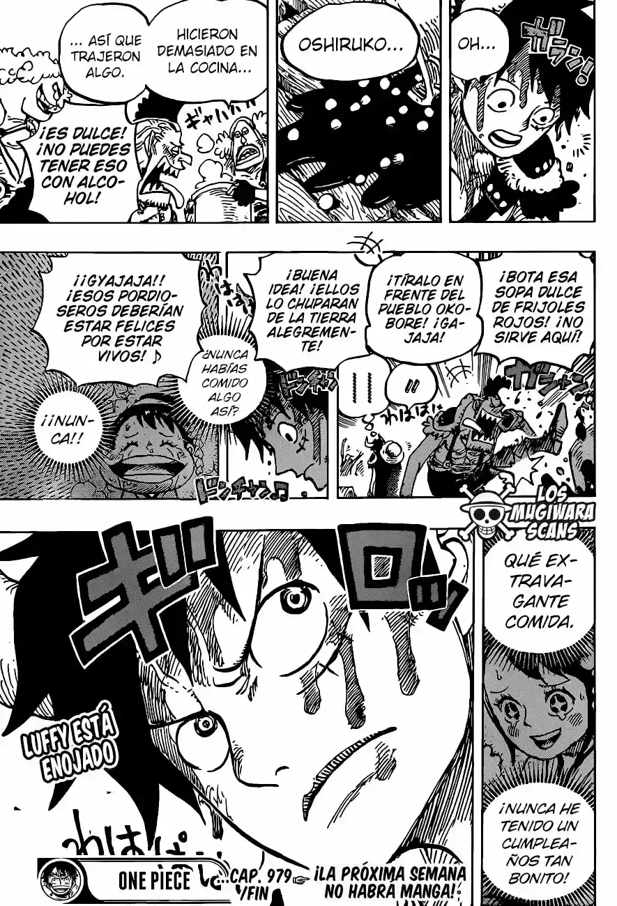 One Piece capítulo 979.5 página 17