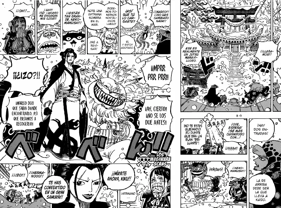 One Piece capítulo 984.5 página 12