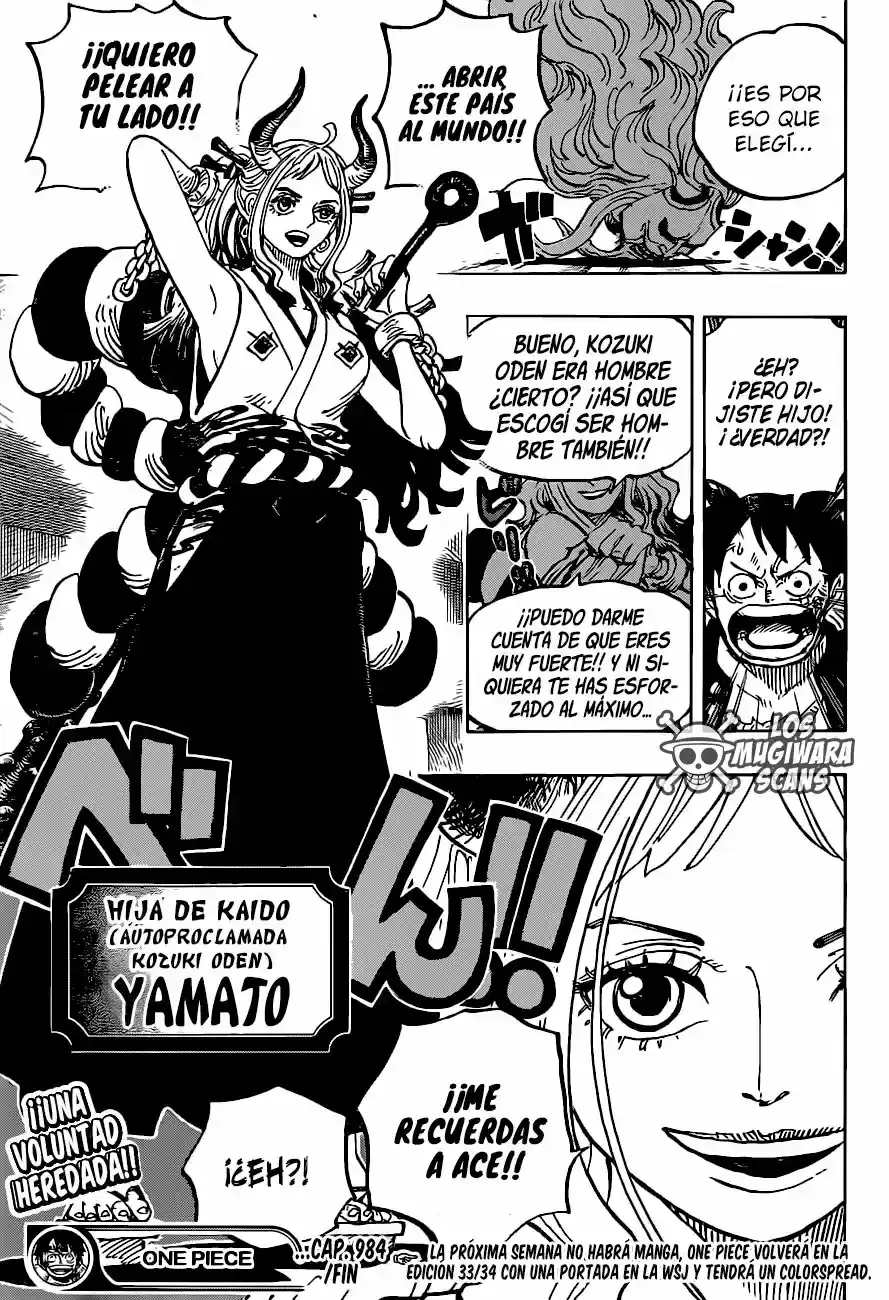 One Piece capítulo 984.5 página 15