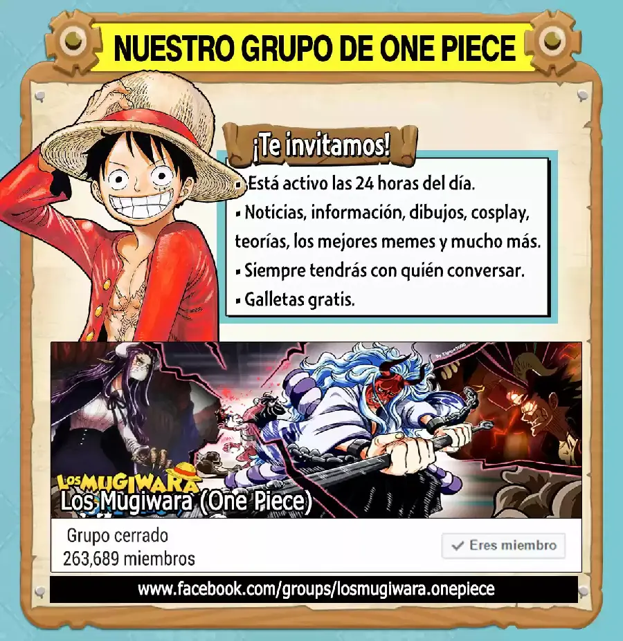 One Piece capítulo 984.5 página 16