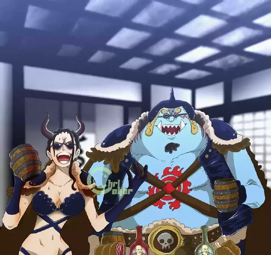 One Piece capítulo 984.5 página 17