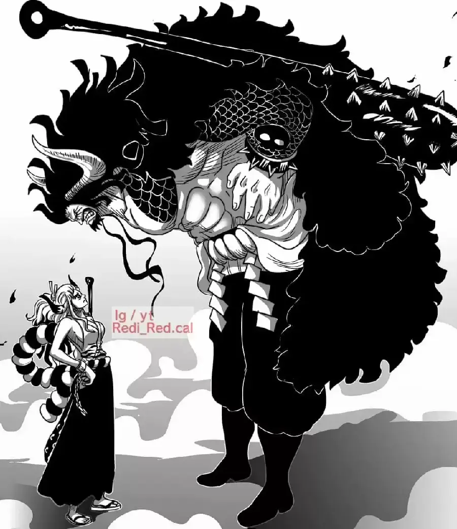 One Piece capítulo 984.5 página 18