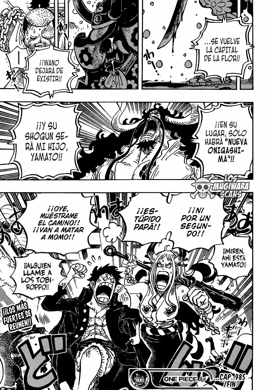 One Piece capítulo 985.5 página 17