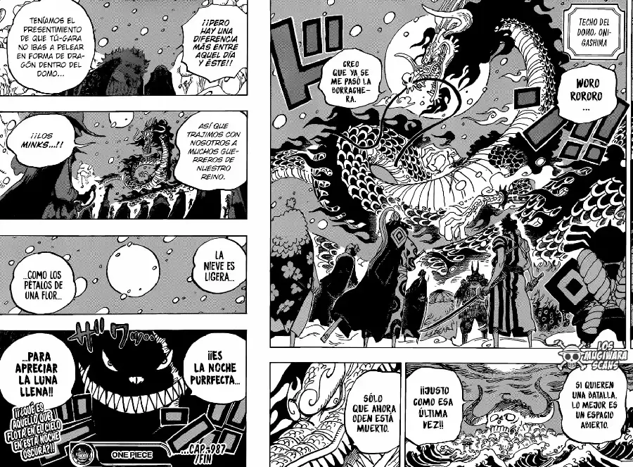 One Piece capítulo 987.5 página 14