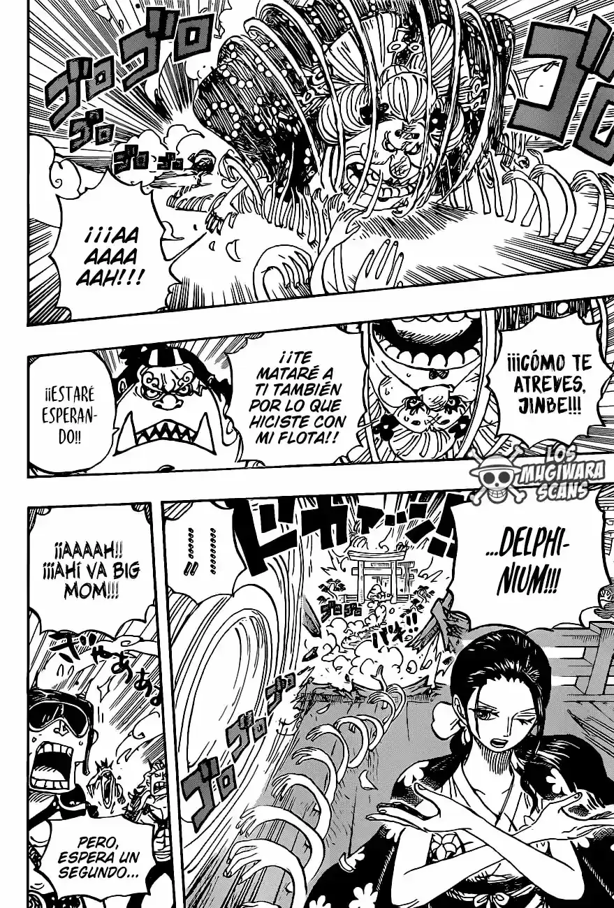 One Piece capítulo 989.5 página 9