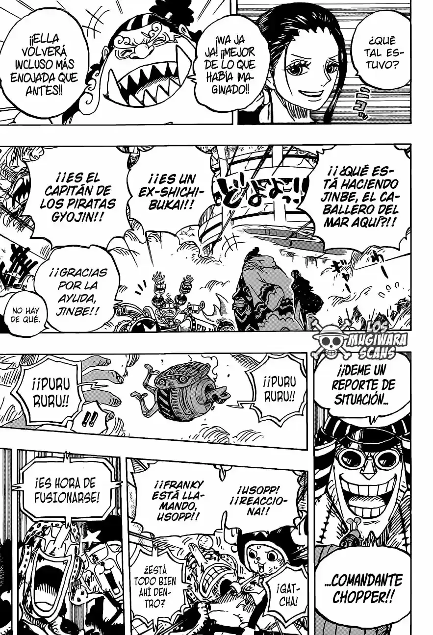 One Piece capítulo 989.5 página 10