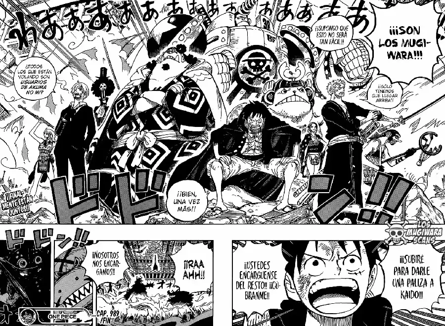 One Piece capítulo 989.5 página 14