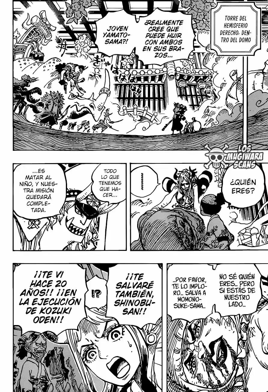 One Piece capítulo 994.5 página 14