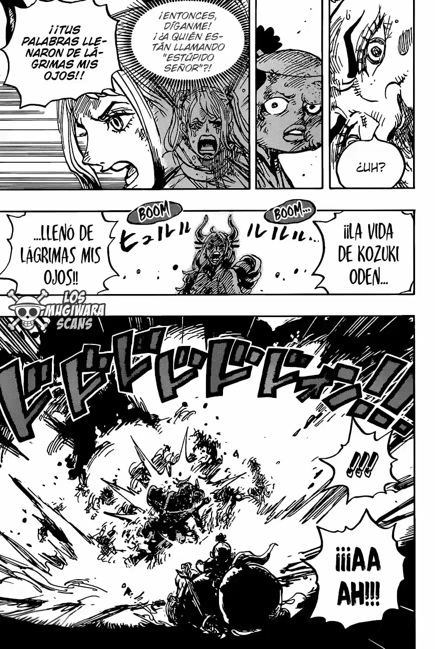 One Piece capítulo 994.5 página 15