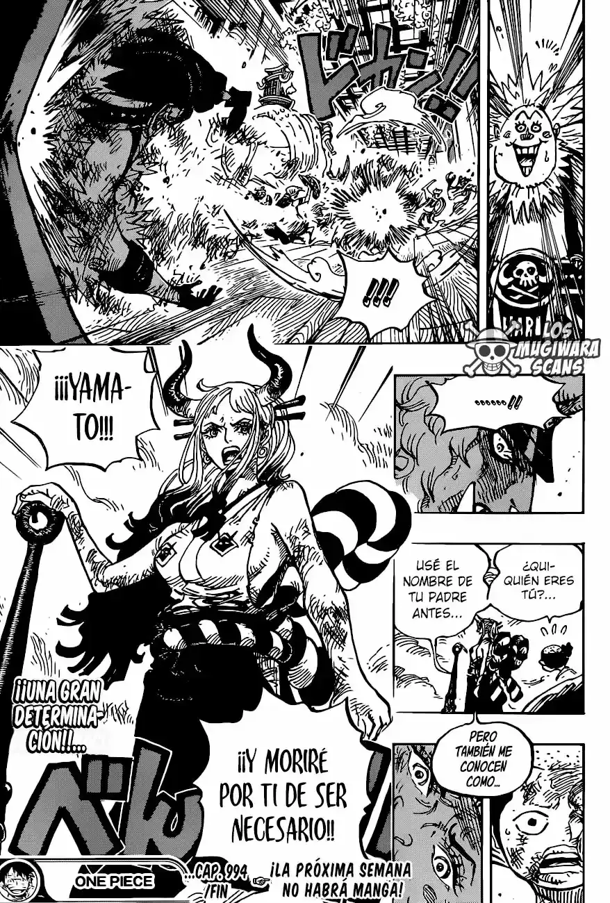One Piece capítulo 994.5 página 17