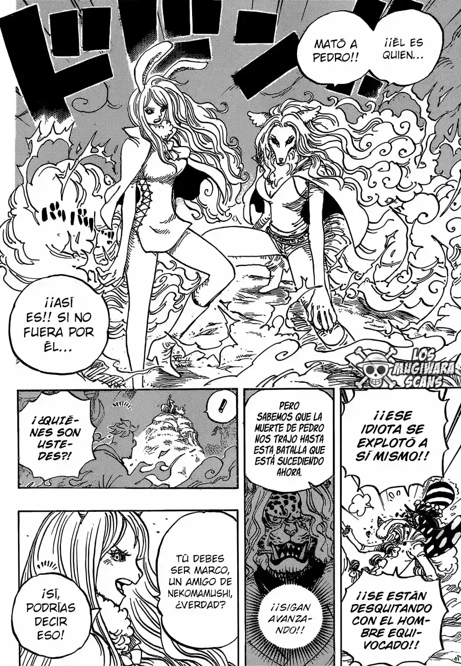 One Piece capítulo 995.5 página 6