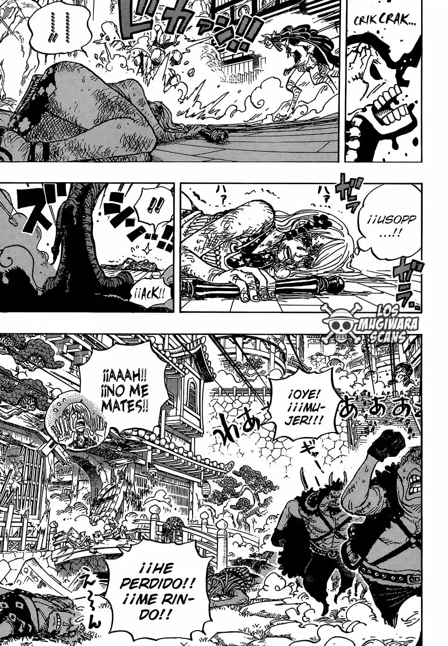 One Piece capítulo 995.5 página 15