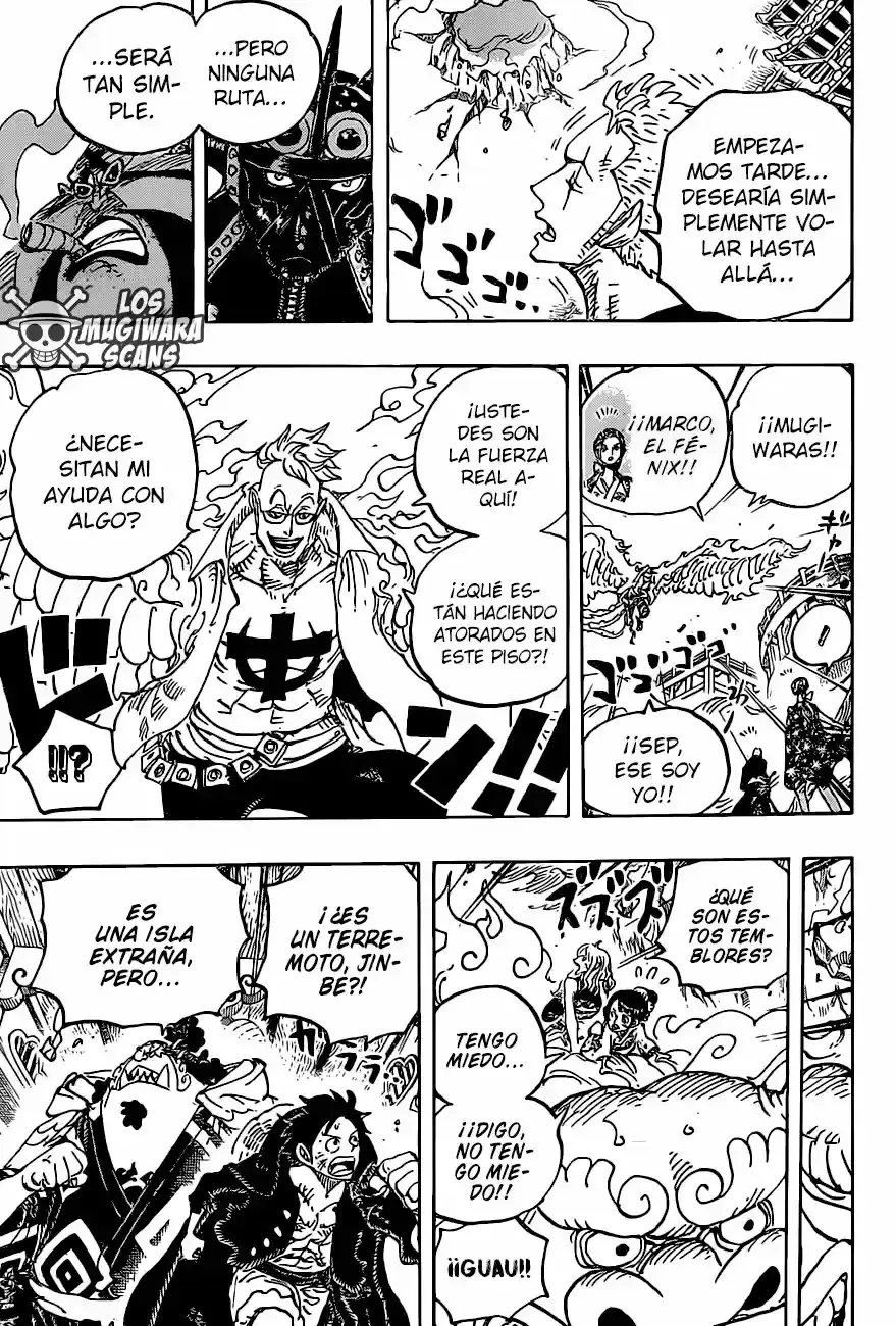 One Piece capítulo 997.5 página 14