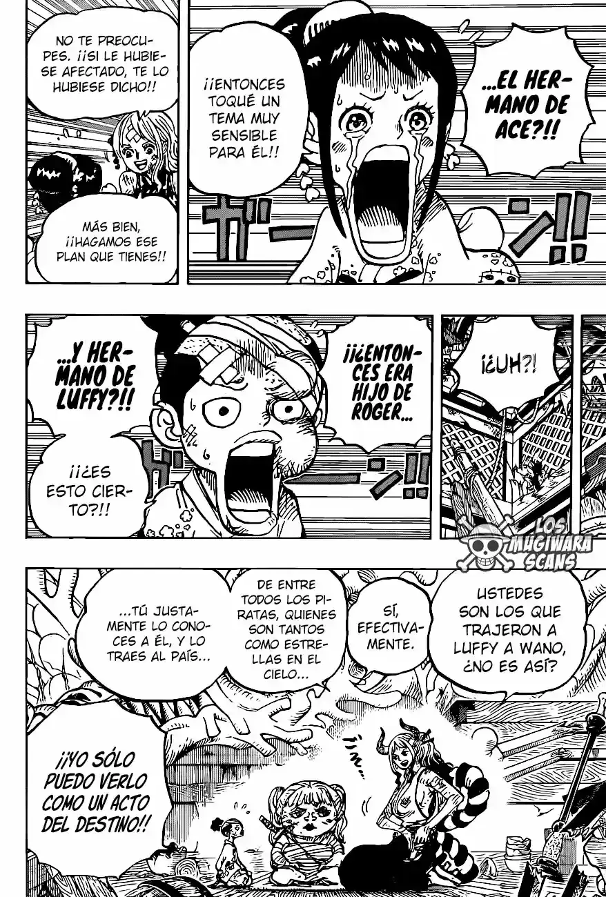 One Piece capítulo 999.5 página 17