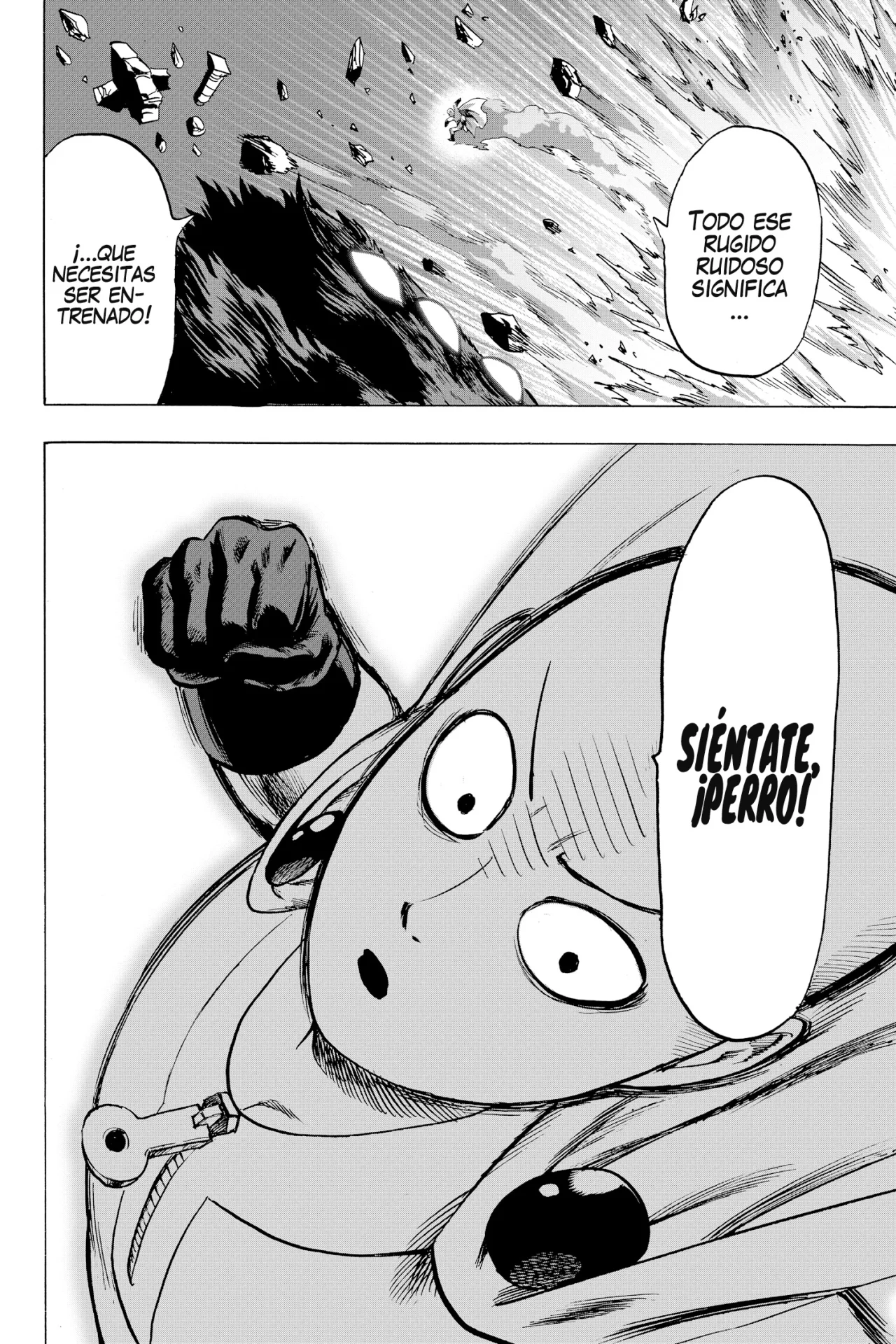 One Punch-Man capítulo 113 página 39