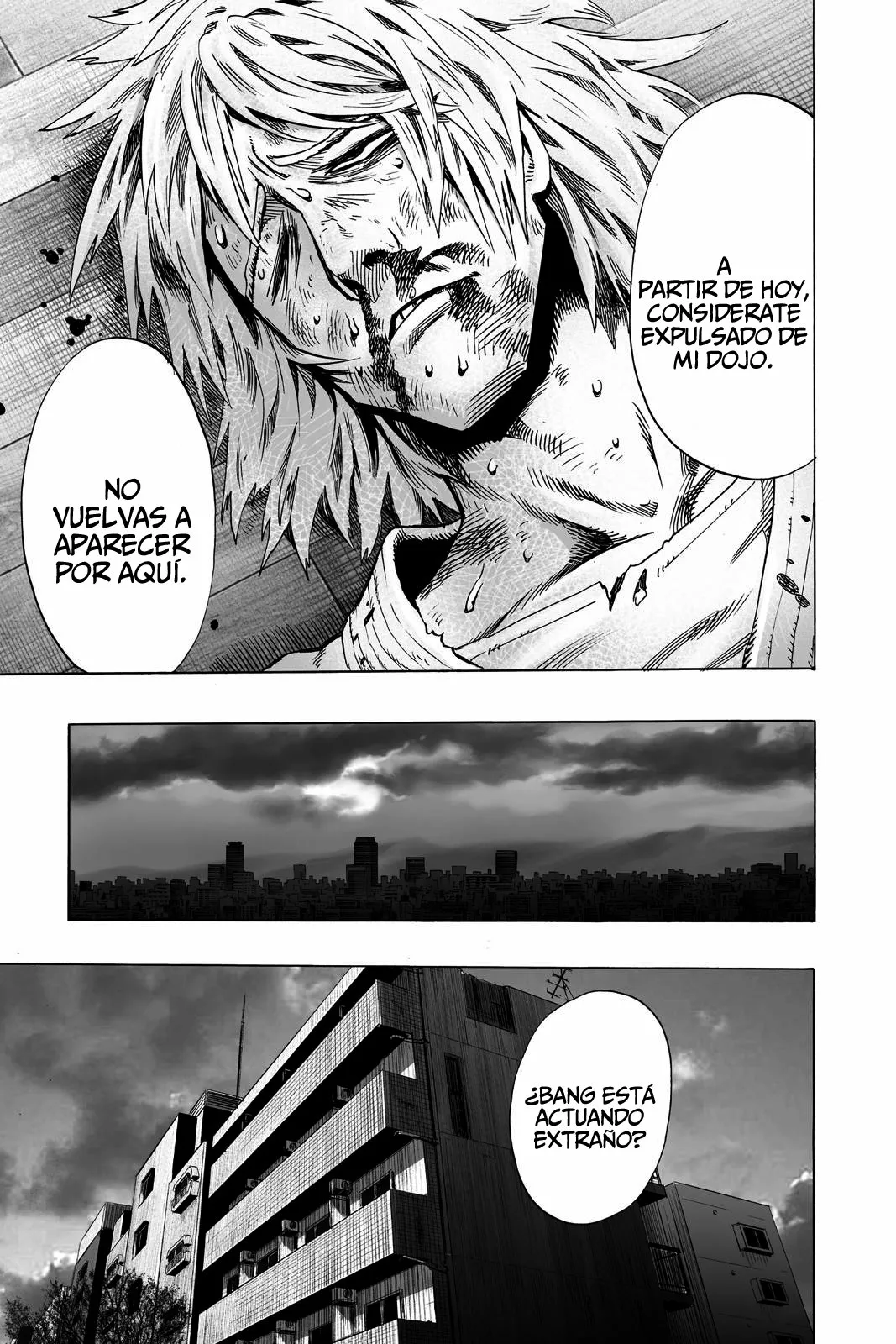One Punch-Man capítulo 46 página 4