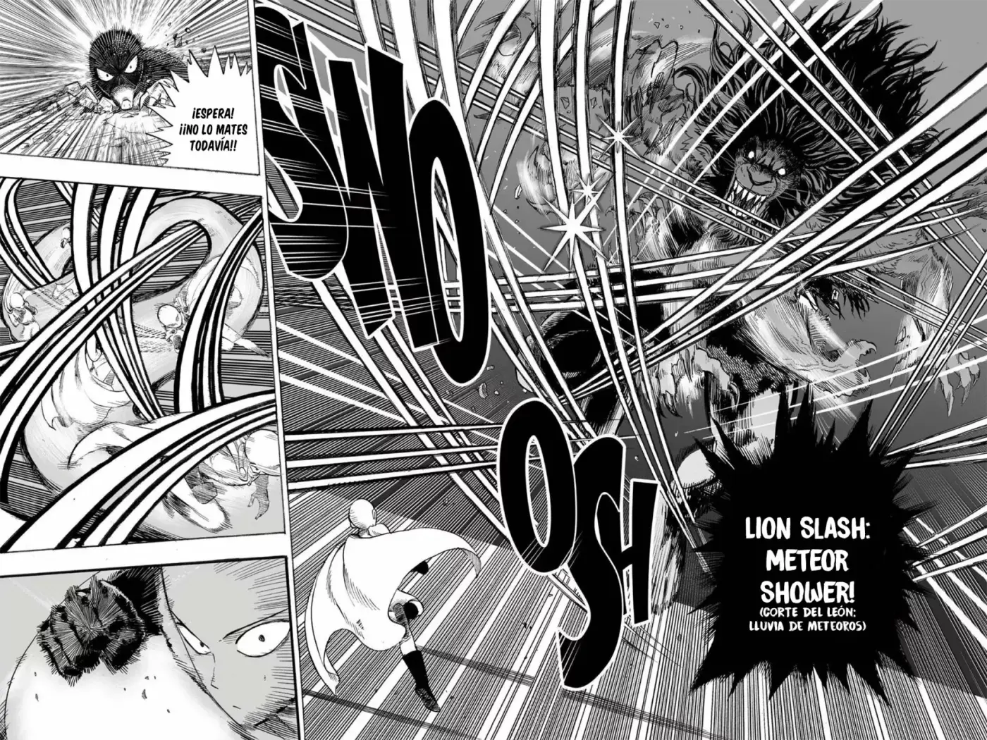 One Punch-Man capítulo 8 página 17